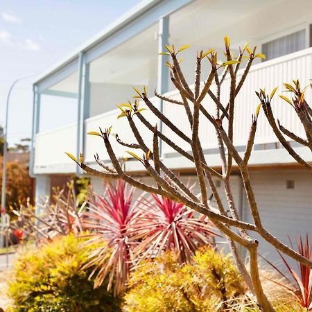Mollymook Motel Exterior foto